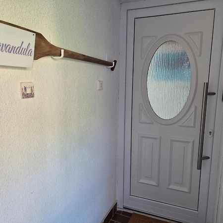 Lavandula Labin  Exteriör bild